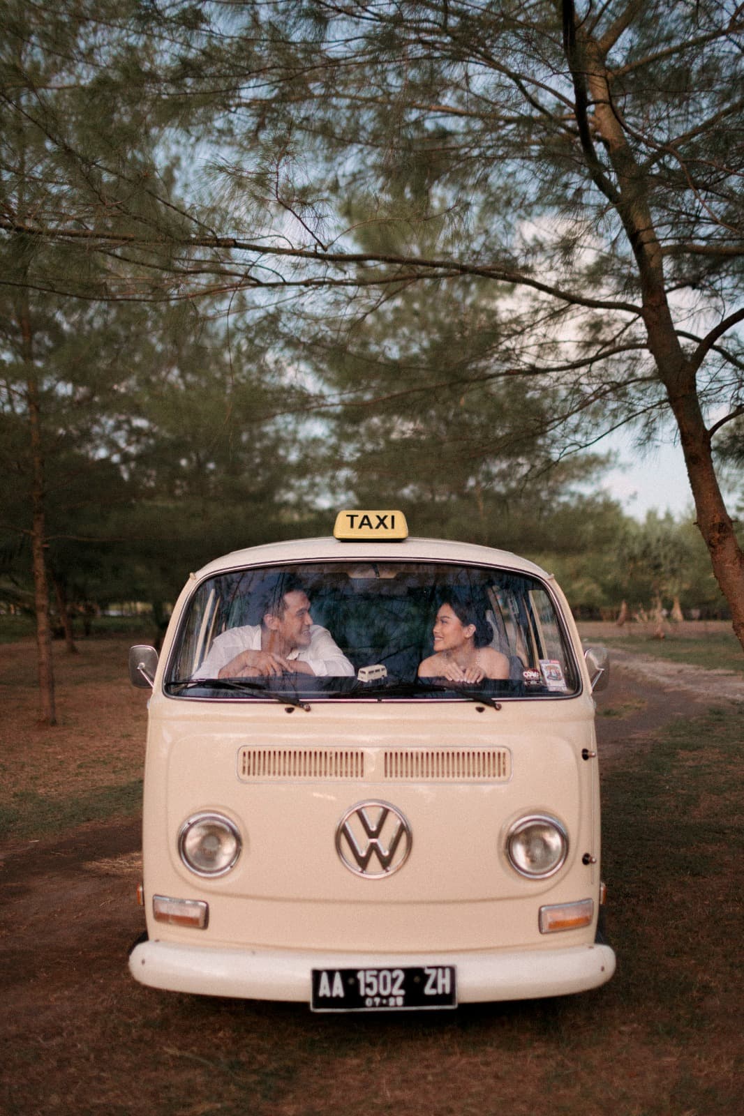 Romantic Journey Road in Pine Woods